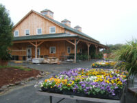 Commercial retail nursery, exterior gardens, modern barn, framing, wraparound porches