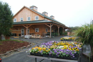 Commercial retail nursery, exterior gardens, modern barn, framing, wraparound porches