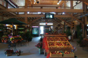 Commercial retail nursery, interior sales floor, mezzanine, railings, daylight