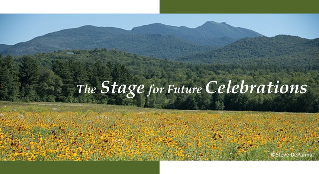 A picture of a meadow in Vermont with wildflowers and Mount Mansfield in the background