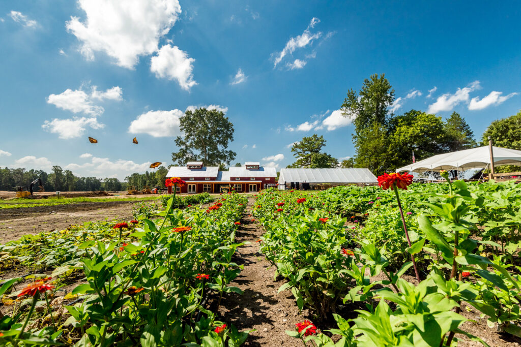 A p[icture of the community farm fields with monarch butterflies at the Farmstead at Chickahominy Falls, designed and built by Geobarns.