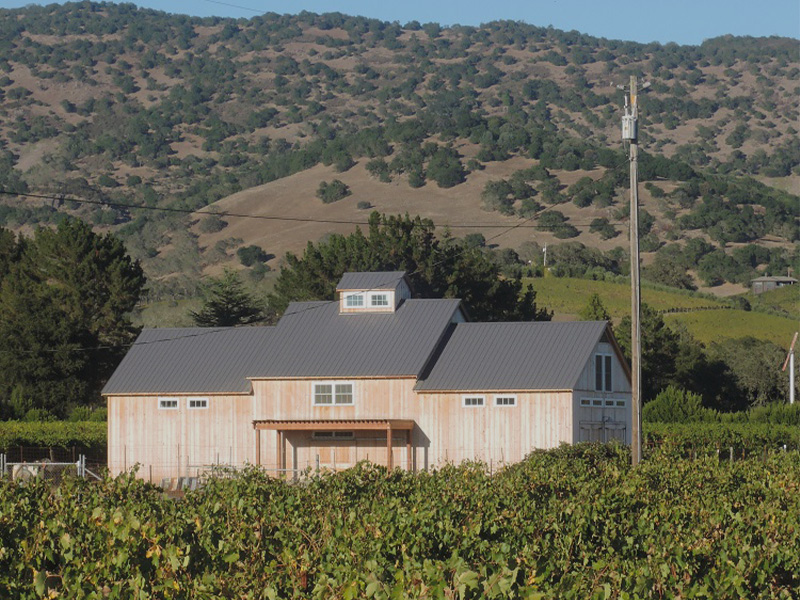 An exterior picture of the Napa Vineyard Barn, designed and built by Geobarns, with natural wood siding and a gray metal roof, in the middle of a vineyard