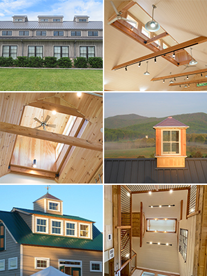 Six pictures of different cupolas design and built by Geobarns.
