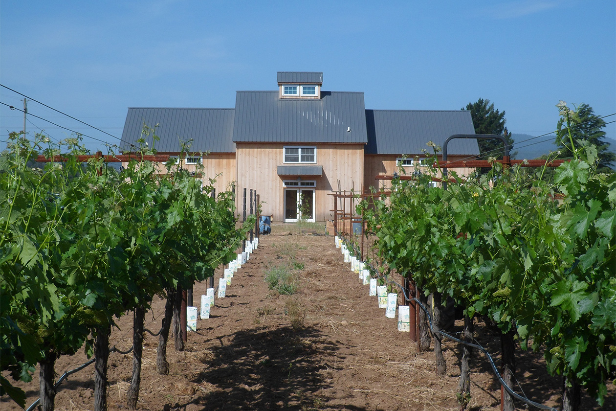 An exterior picture of the Napa Vineyard Barn, designed and built by Geobarns, with natural wood siding and a gray metal roof, in the middle of a vineyard