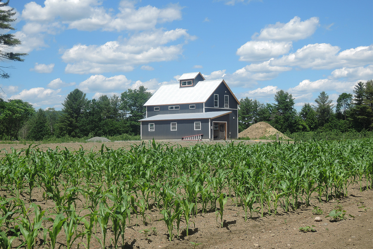 An exterior picture of the Farmhouse, designed and built by Geobarns on  a New Hampshire farm, with blue wood siding, silver metal roof, cupola, surrounded by a young cornfield