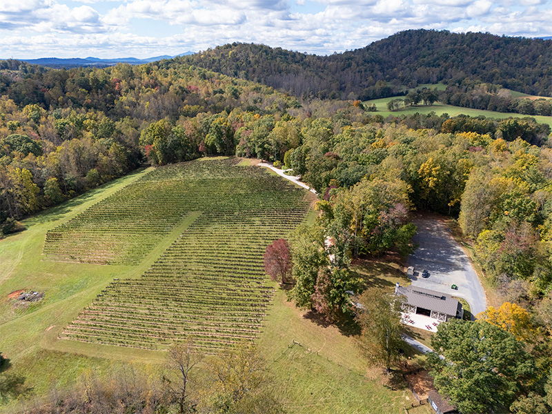 Lovingston Winery Pavilion, designed and built by Geobarns