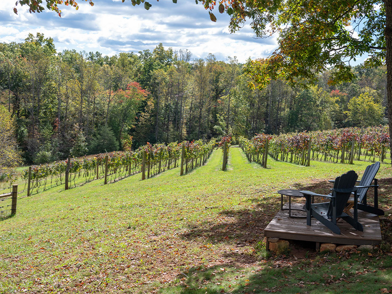 Lovingston Winery Pavilion, designed and built by Geobarns